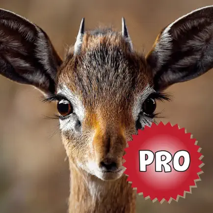 Deer Hunting Calls: Sound Pro Читы