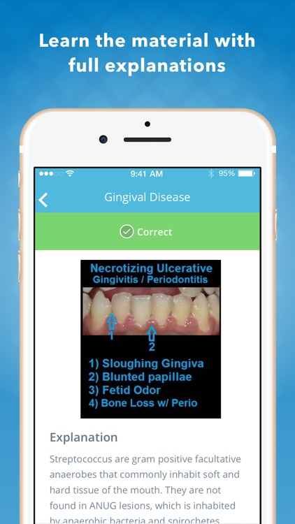 Dental Hygiene Mastery: NBDHE