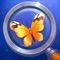 Tiny Things is a hidden objects game