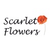 Scarlet Flowers | Харьков