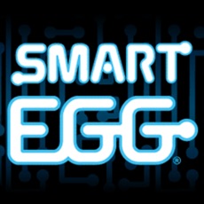 Activities of Smart Egg Speedsolving