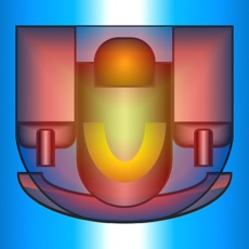 Activities of Limit Shoot