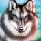 The wolf’s dominance is vital to the natural order