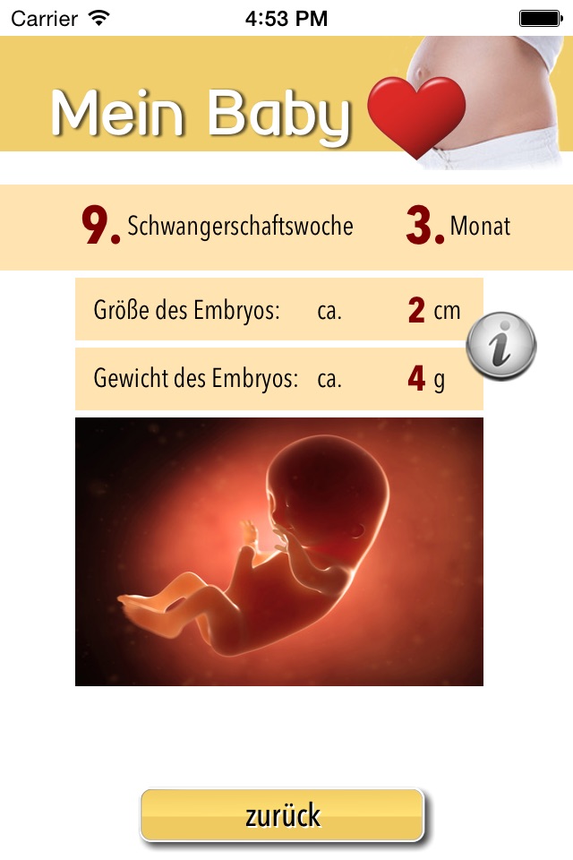 Mein Baby - Ich bin schwanger screenshot 2