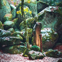 Furtwangen • appONE