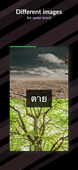 Thai Opposites(圖3)-速報App