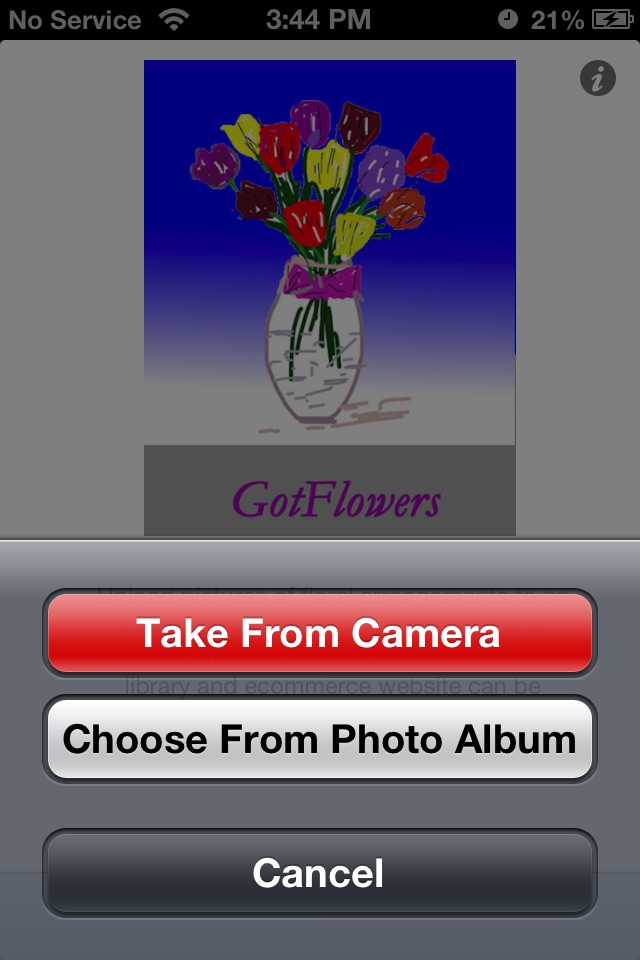 GotFlowers screenshot 2