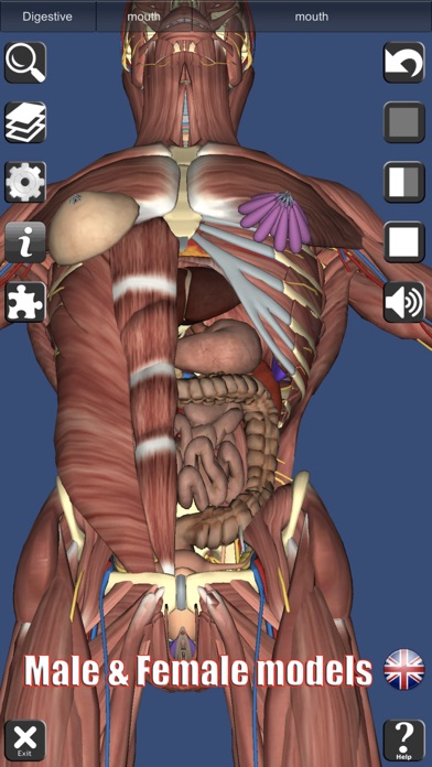 3D Anatomy Screenshot 5