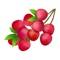 There are many kinds of delicious Lychee stickers in VORILA, which will enrich your picture library and make it more interesting to chat with friends in iMessage