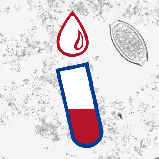LAB Befund
