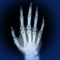 App Icon for Skeletal Anatomy 3D App in Brazil IOS App Store