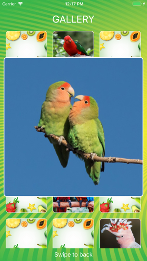 Parrot World Memory Trainer(圖4)-速報App