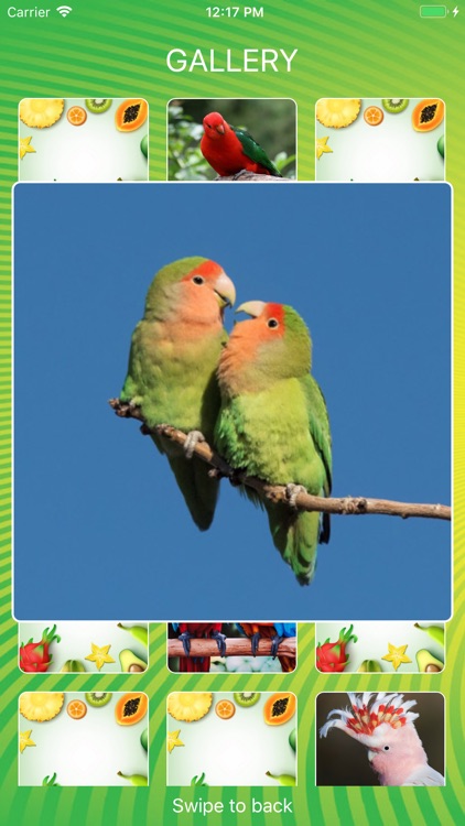 Parrot World Memory Trainer screenshot-3