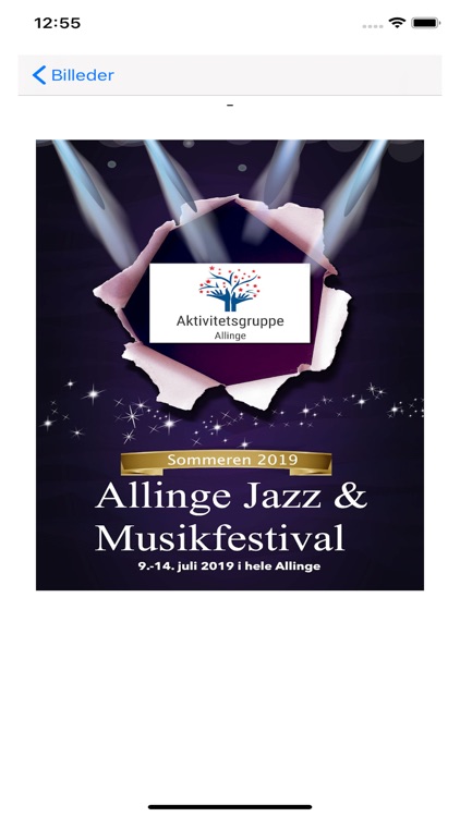 Allinge Jazz screenshot-4