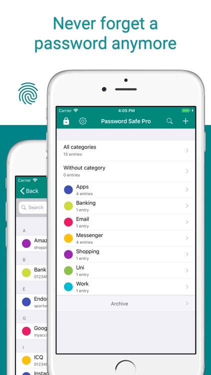 Password Safe and Manager