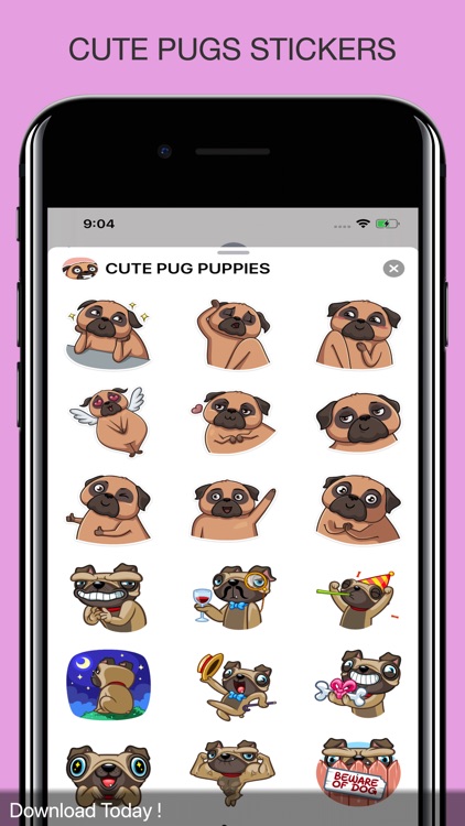 CUTE PUG PUPPIES screenshot-3