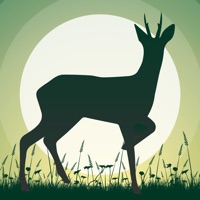 Roe Deer Calls