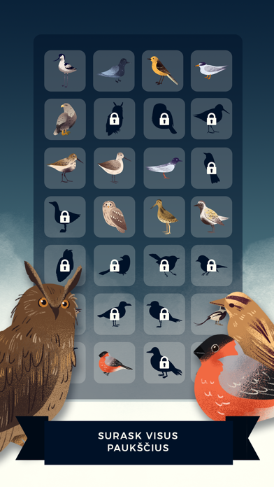 Birds Routes screenshot 4