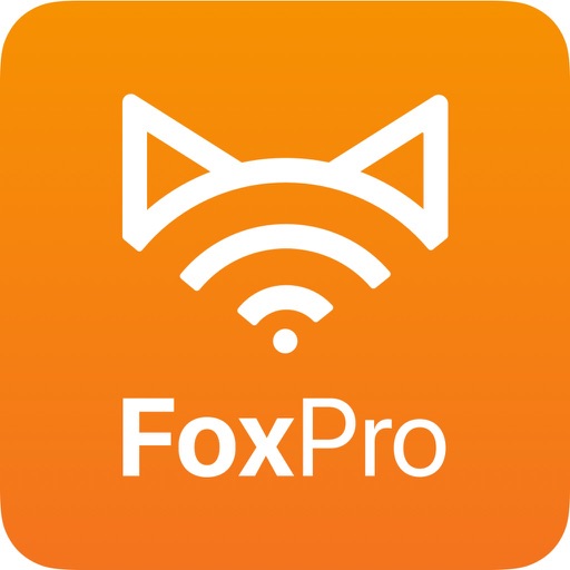 В субд foxpro файл с расширением fpt представляет собой