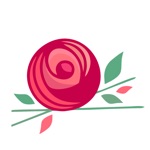 Darunok  Черновцы