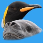 Top 21 Reference Apps Like Antarctic Wildlife Guide - Best Alternatives