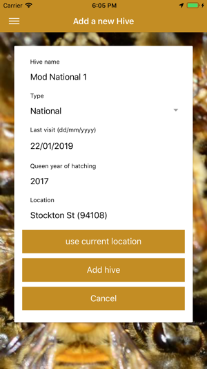 Apiarist 2019(圖3)-速報App