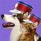 UPLOAD & SHARE YOUR CUTEST PET PICS