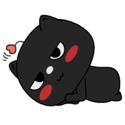 Little Black Cat Expression