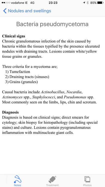 Equine Dermatology