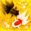 Wa Kingyo - 和金魚 - - iPhoneアプリ
