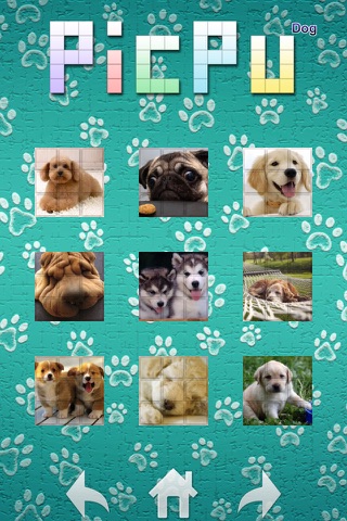 PicPu - Dog Picture Puzzle screenshot 2