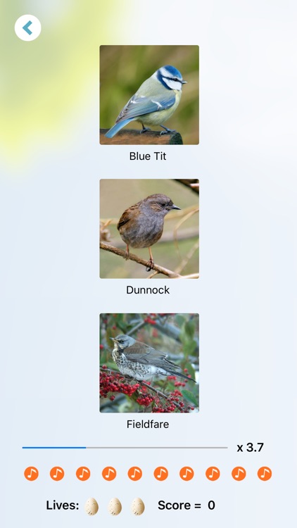 Chirp! Bird Songs UK & Europe screenshot-5