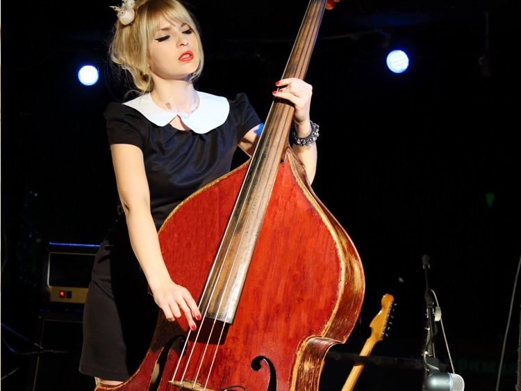 Double Bass Lessons & Learn