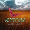 Meditations: Llano Texas