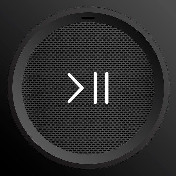 Sonos Controller & Microphone iPhone Wired