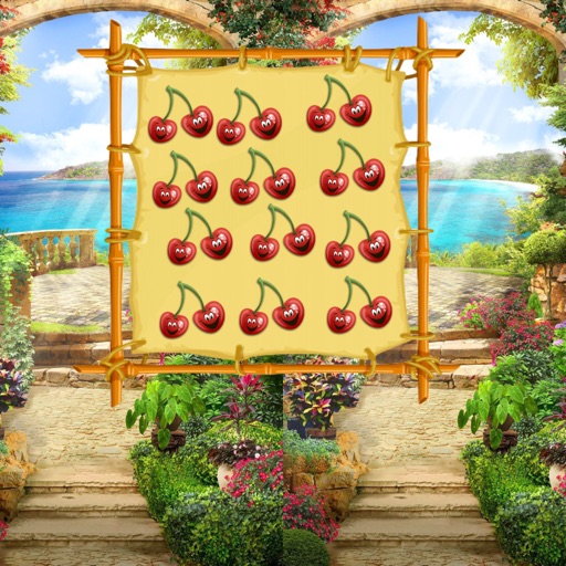 Option Fruit Counting