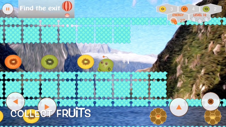 Kiwi Hobo Run Fruit Adventure