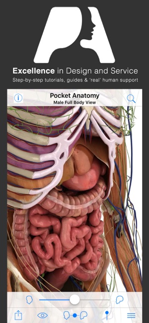 Pocket Anatomy(圖4)-速報App