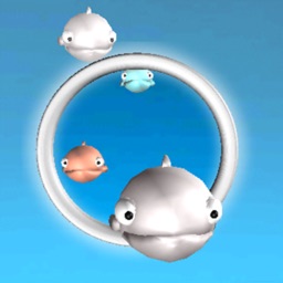 Fish Hoop