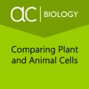Comparing Plant & Animal Cells