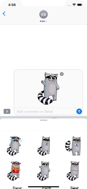 Racoon Stickers Pack(圖7)-速報App