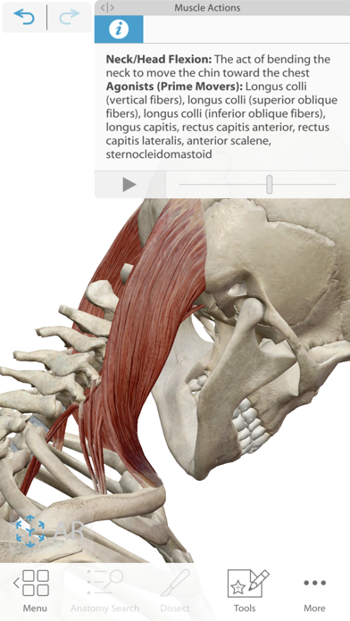 Human Anatomy Atlas 2021 Screenshot