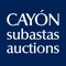 Icon CAYON SUBASTAS AUCTIONS