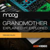 AV Course For Moog Grandmother