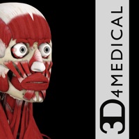 3d4medical muscle system pro iii