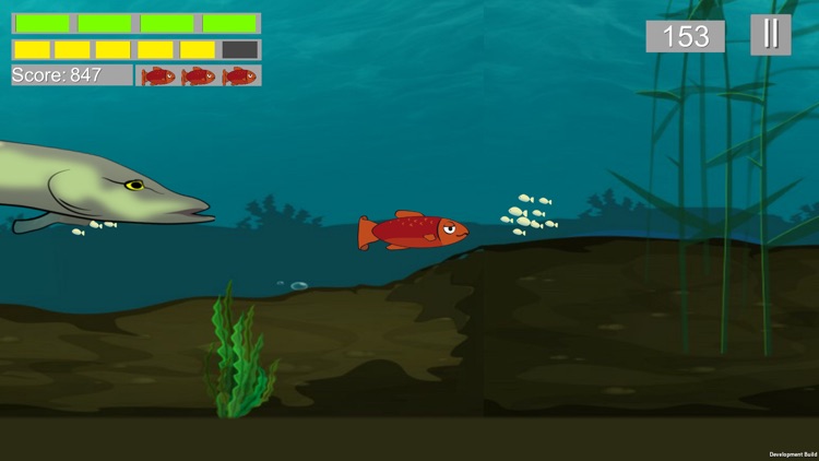 Water Natuurlijk Game screenshot-4