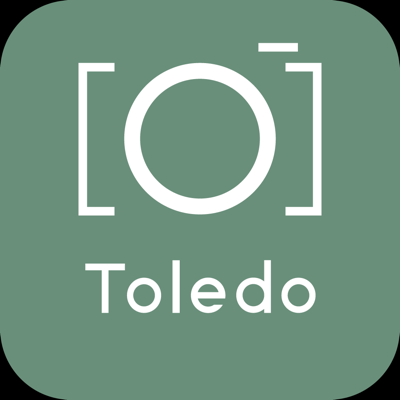 Toledo Guide & Tours