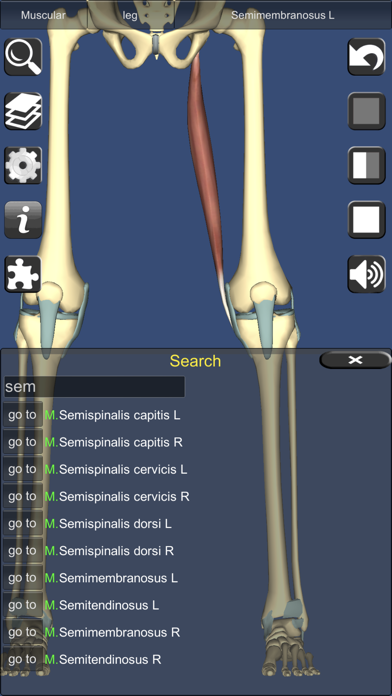 3D Anatomy Screenshot 6