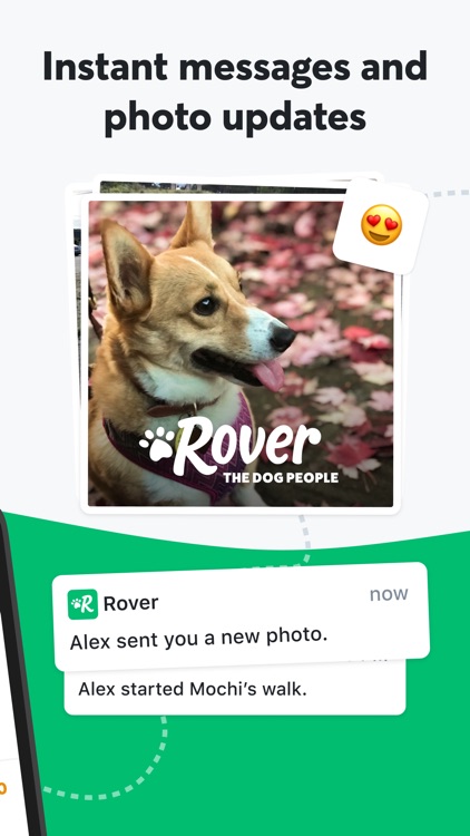 Rover—Dog Sitters & Walkers