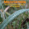 Meditation - Beethoven 4 Woods